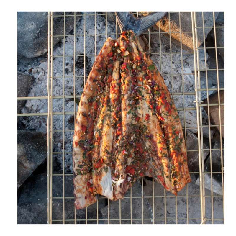 Snoek Grid Mild Steel