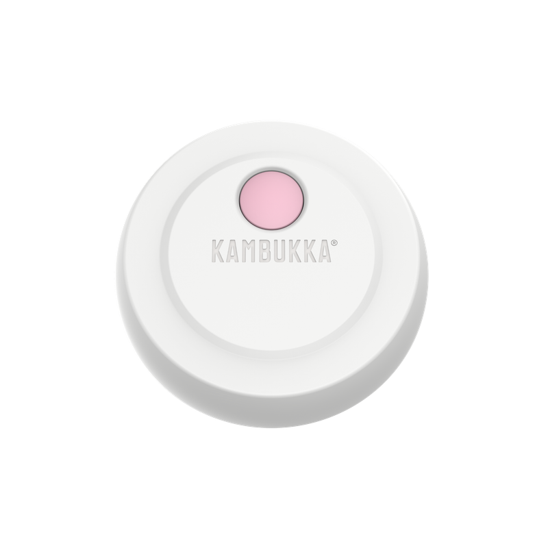 Kambukka Bora SS Double Wall Insulated Lunch Box Baby Pink - 600 ml