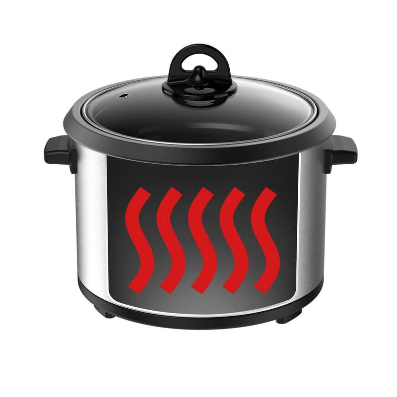 Moulinex Easy Rice 10 Cup Rice Cooker