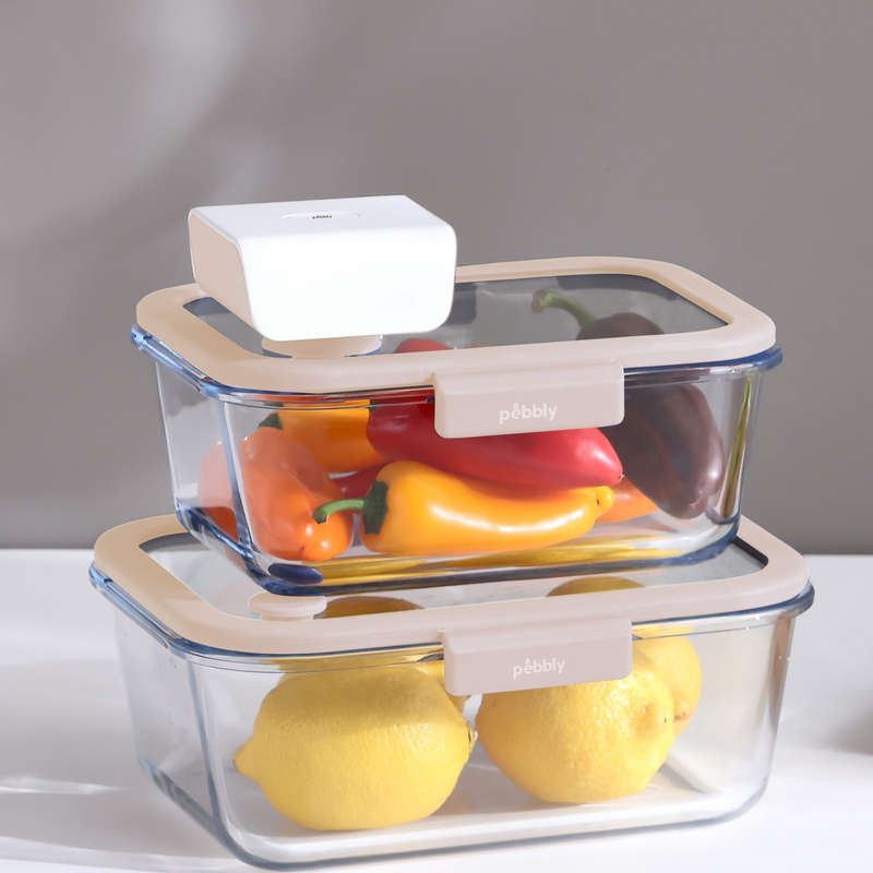 Pebbly Rechargeable Electronic Vacuum Pump