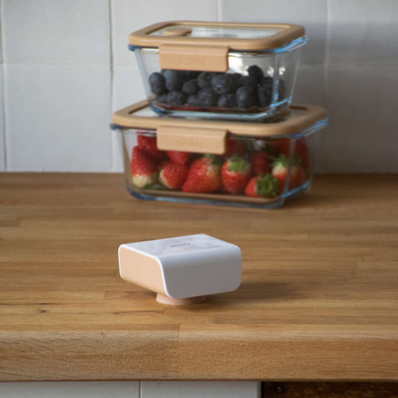 Pebbly Rechargeable Electronic Vacuum Pump