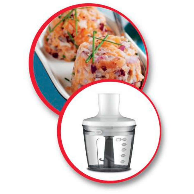 Moulinex Easy Chef 2 in 1 Hand Blender