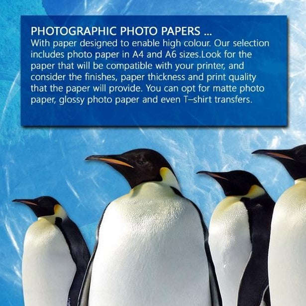 Penguin Inkjet Photo Paper Matt 120gsm  50 Sheets  A:4