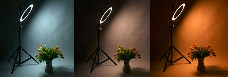 5-in-1 Rotatable LED Ring Light with Tripod  3 Lighting Modes, 26cm
