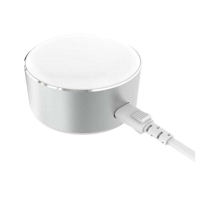Usb Dsk Charger + Light - 2P