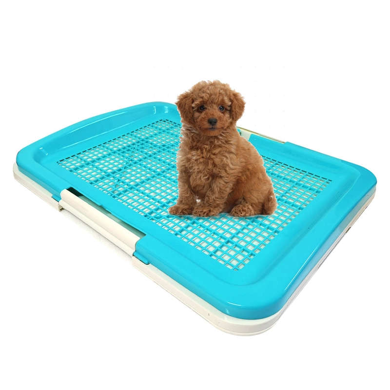 Rex Dog Potty Trainer -Medium-Blue