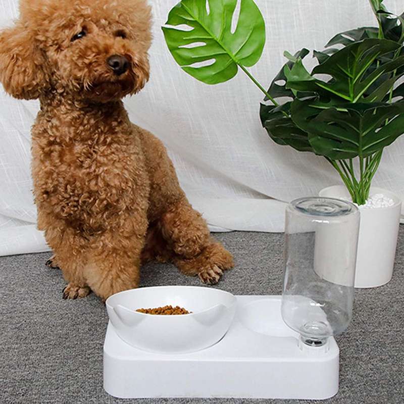 Rex - Pet Feeder