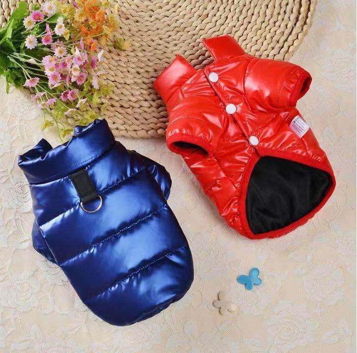 Snoozle Dog Jacket - Medium - Blue - Rex
