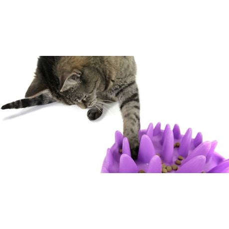 Rex - Slow Feeder - Purple