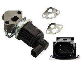 Egr Valve Vw Golf,Jetta Iv 1.4,1.6 16V,9N 1.4 >16V 199686