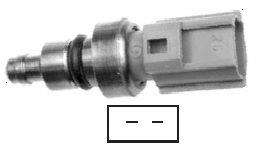 Switch Temp Sensor 2Pin (Ts6153) Ford Bantam,Fiesta,Ikon,Ka 1.3,1.6 2000-2010 (210074)
