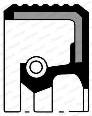 Oil Seal Camshaft Nissan NP200 1.6 42x30x7 (NA5053)