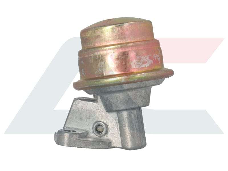 Fuel Pump  VW Beetle & Kombi 1300/1500/1600 (With Generator, 19661979) NFP9200M