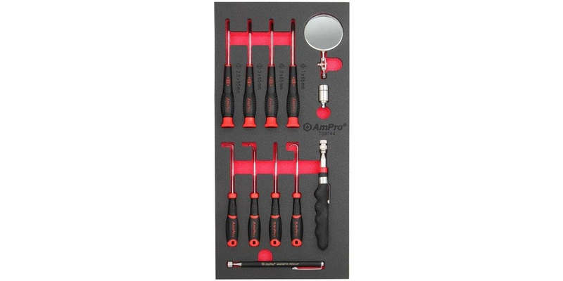 12Pc Precision & Pick Tool Set (Foam Tray) AMPRO T28744