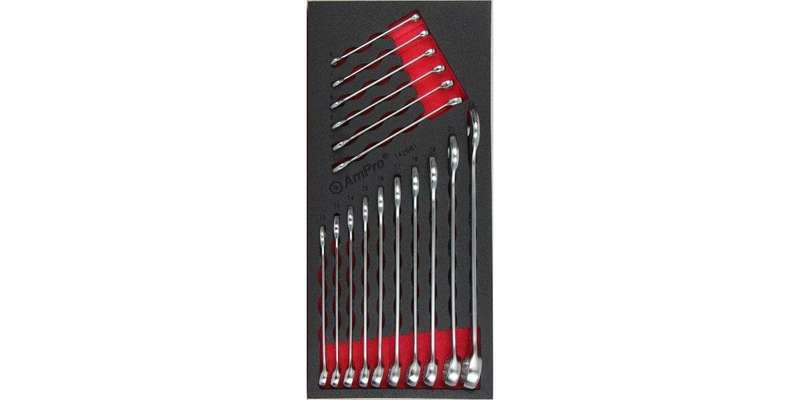 16Pc Fits-All Combination Wrench Set (Foam Tray) AMPRO T42681