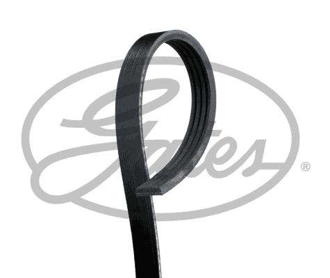 Multi-V Belt (5PK1343) [Gates]
