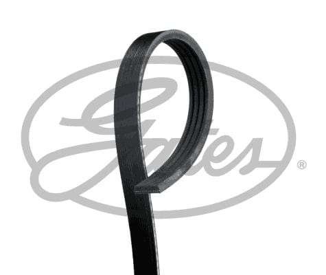 Multi-V Belt (5PK1343) [Gates]