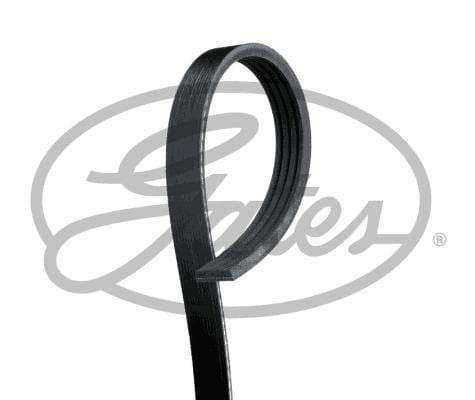 Multi-V Belt (4PK613) [Gates]