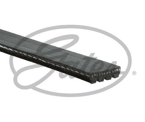 Multi-V Belt (5PK1343) [Gates]
