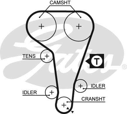 Timing Belt Ford Escort,Focus,Mondeo (Zetec)