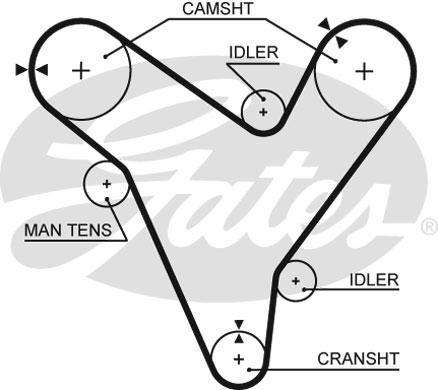Timing Belt Ford Telstar,Mazda 626 (Kl,Kf)