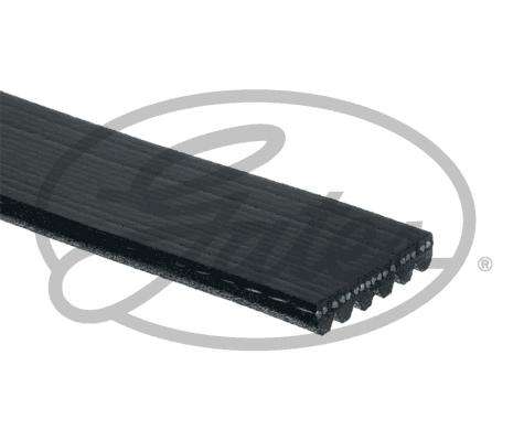 Multi-V Belt (6PK2175) [Gates]
