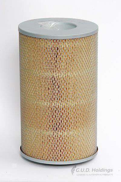 ADG504 Hd Air Filter Ford/Leyland (GUD)