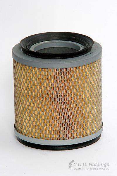 ADG770 Air Filter Mazda/Ford (GUD)