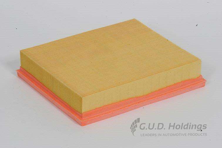 AG1029 Air Filter (GUD)