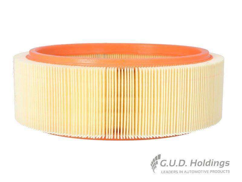 AG1112 Air Filter O/Kangoo (GUD)