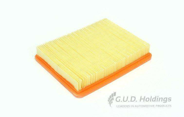 AG1341 Air Filter Sonata/Trajet Magentis (GUD)