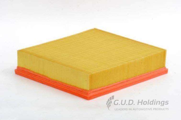 AG1417 Air Filter Clio Iii (GUD)