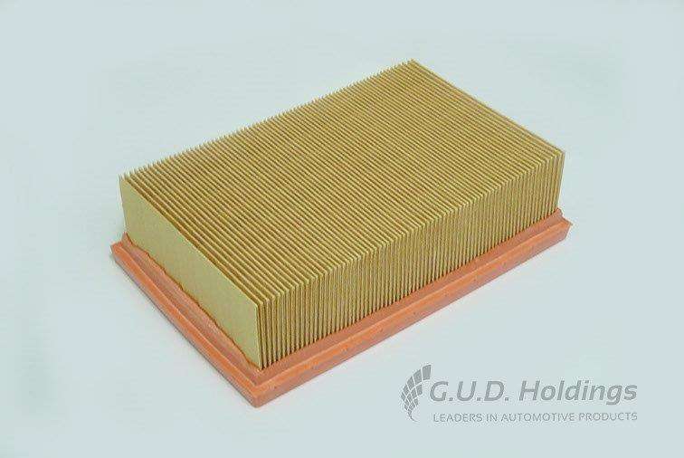 AG1461 Air Filter Laguna I (GUD)