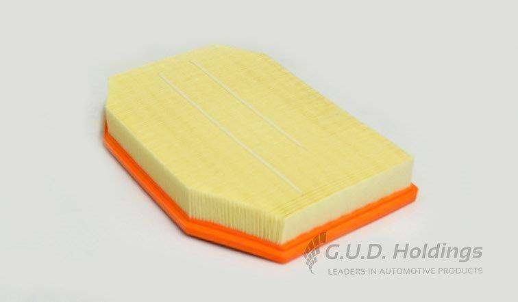 AG1489 Air Filter Bmw 523I/ 528I (GUD)