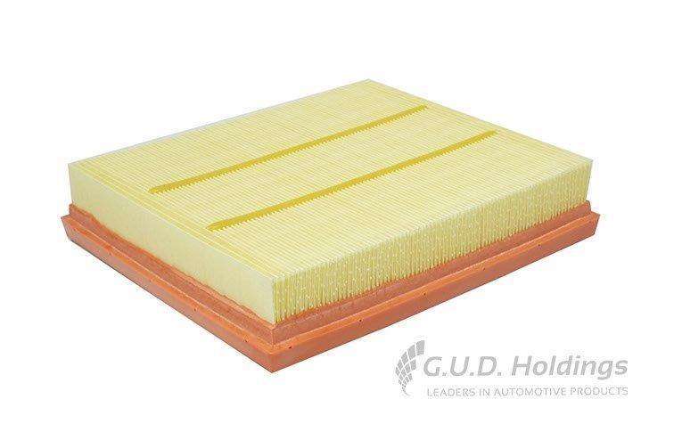 AG1563 Air Filter Bmw 1 Series/ 3 Series (GUD)