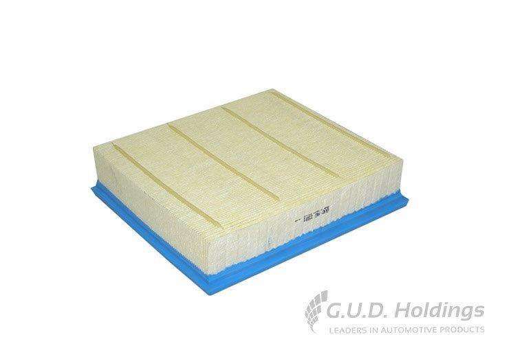 AG1591 Air Filter Isuzu Kb250 D-Teq (GUD)