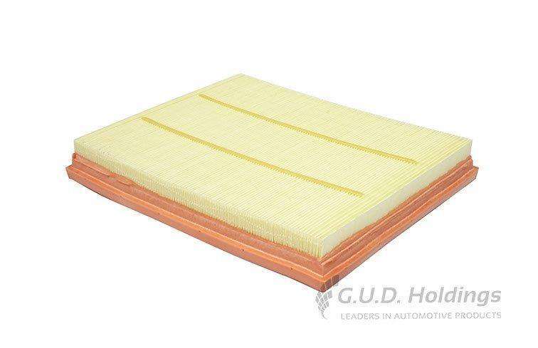 AG1648 Air Filter Bmw 1/ 2 Series (GUD)