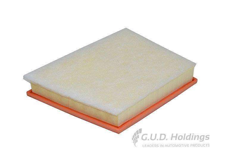 AG1729 Air Filter Bmw 2 Series/ X1/ Nini (GUD)