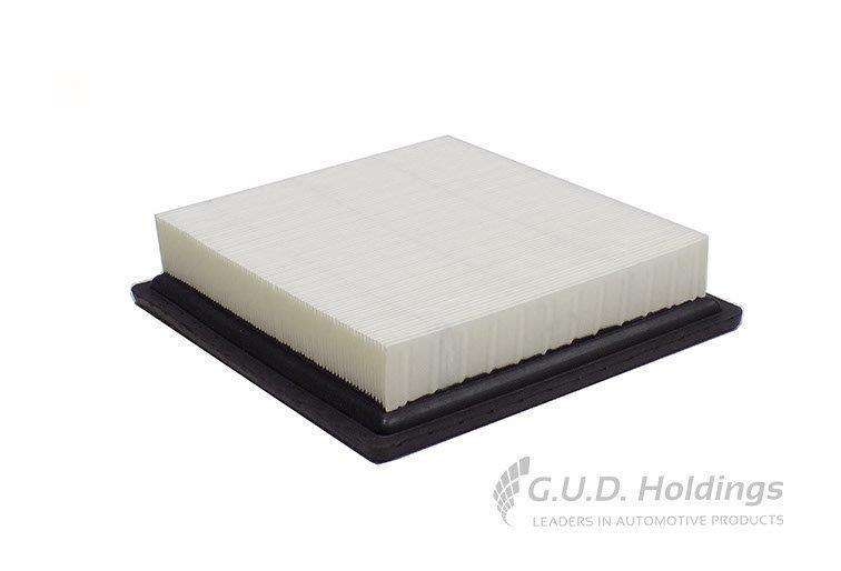 AG1774 Air Filter Dodge (GUD)