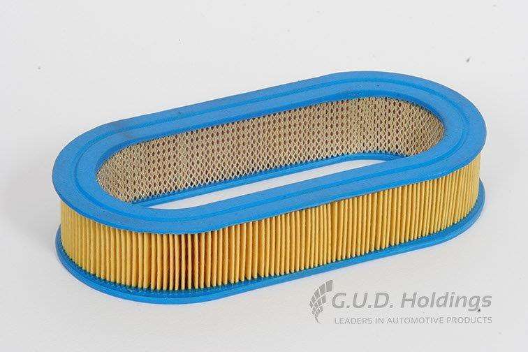 AG493 Air Filter Nissan (GUD)