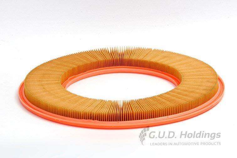 AG601 Air Filter Bmw/Mercedes (GUD)