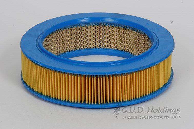 AG629 Air Filter Renault (GUD)