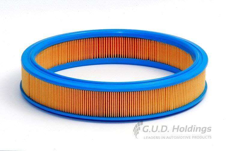 AG697 Air Filter Ford (GUD)