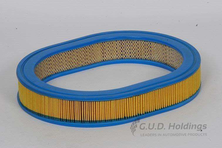 AG700 Air Filter Mazda/Ford (GUD)