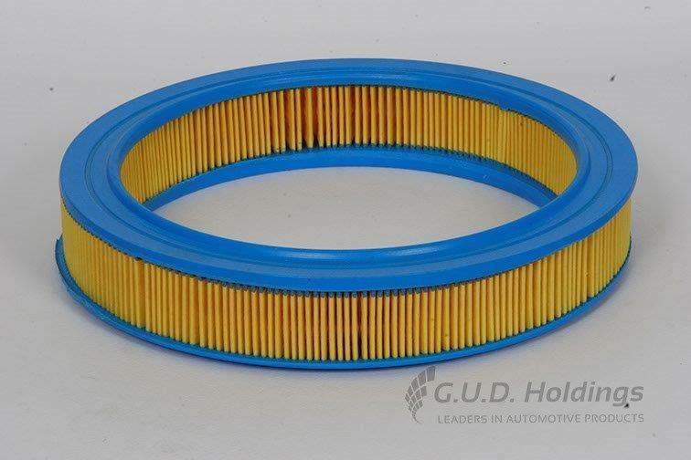 AG764 Air Filter Ford (GUD)
