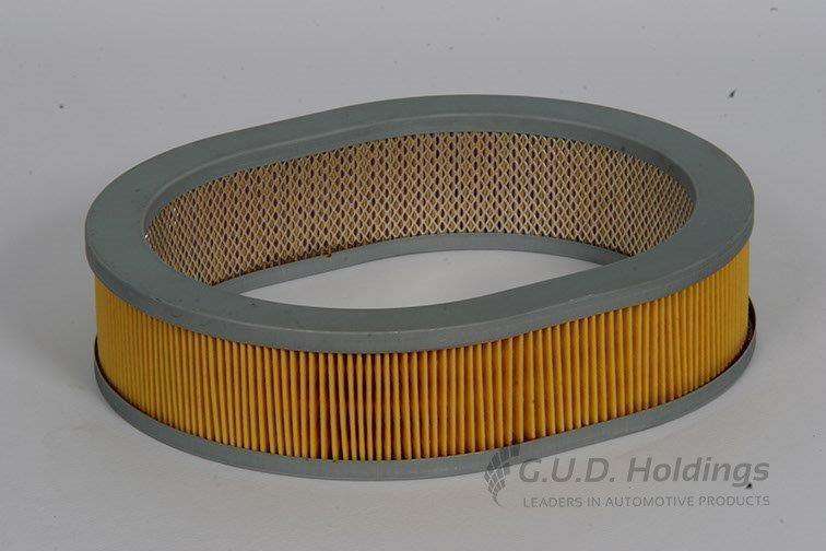 AG778 Air Filter Nissan (GUD)