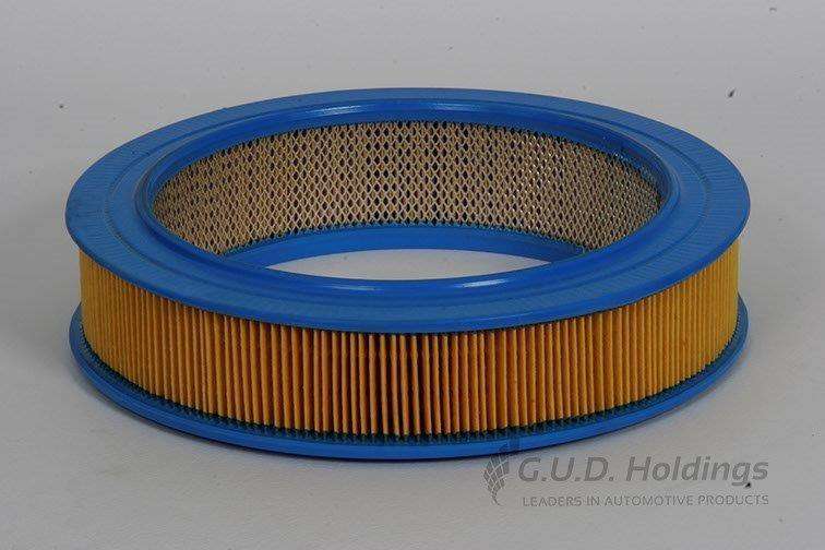 AG822 Air Filter Mazda Ldv'S (GUD)