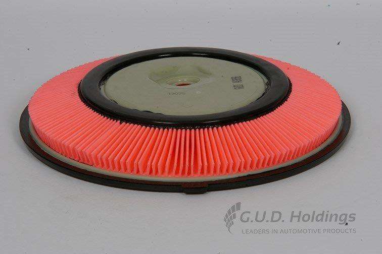 AG856 Air Filter Nissan (GUD)