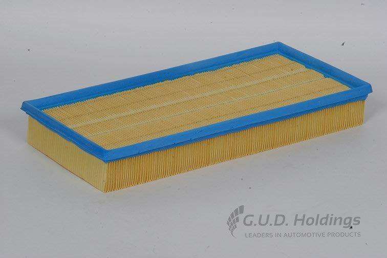 AG920 Air Filter Audi/Vw (GUD)