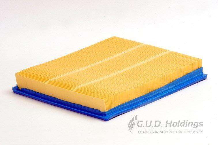 AG970 Air Filter (GUD)